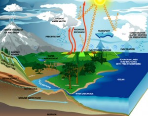 Water Cycle